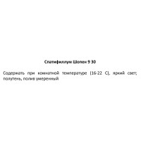 Спатифиллум шопен d9 h30
