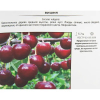 Вишня «Любская» 25x130 см