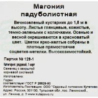 Магония падуболистная 15x20 см