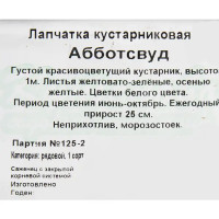 Лапчатка «Абботсвуд» 15x30 см