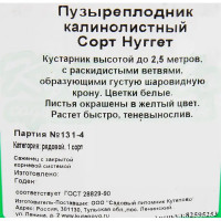 Пузыреплодник калинолистный «Нуггет» 15x40 см