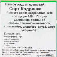 Виноград плодовый «Кодрянка» C2 высота 50 см