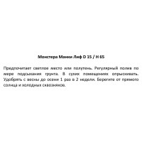 Монстера Манки лиф ø15 h65 см