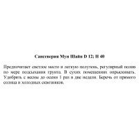 Сенсеверия Муншайн ø12 h35 см