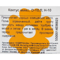 Кактус микс 10.5x10 см