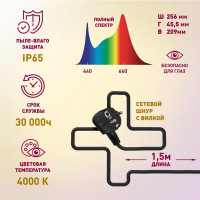 Прожектор светодиодный для растений Эра Fito 100 Вт полный спектр нейтральный белый свет