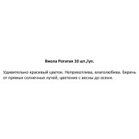 Рассада Виола рогатая h20 см, 10 шт.