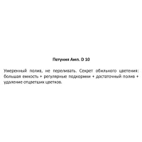 Петуния ампельная ø10 h20 см