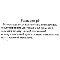 Розмарин ø9 h15 см