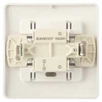 Выключатель встраиваемый Schneider Electric Blanca 1 клавиша 10 А цвет белый
