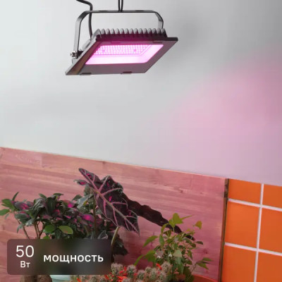 Прожектор светодиодный для растений Эра 50 Вт 1500К IP65 красно-синий спектр розовый свет влагостойкий