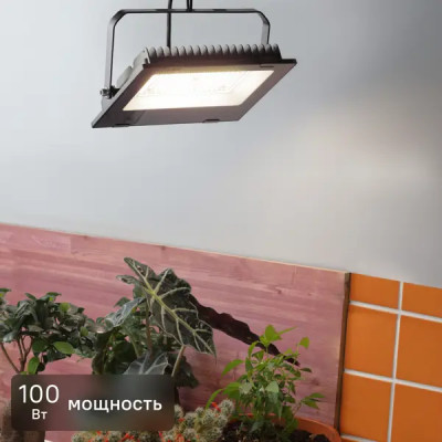 Прожектор светодиодный для растений Эра Fito 100 Вт полный спектр нейтральный белый свет