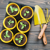 Набор горшков ГазонCity v9.6 с подставкой