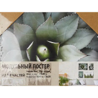 Постер модульный ПВХ Агава 60x60 см