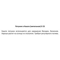 Петуния ампельная 25x22 см