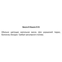 Виола 21x22 см