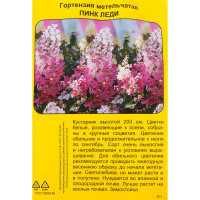 Гортензия метельчатая Пинк леди h40 см Поиск