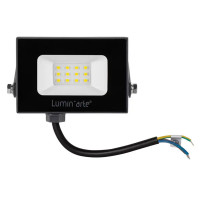 Прожектор светодиодный уличный Luminarte 10 Вт 5700K IP65 холодный белый свет