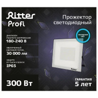 Прожектор светодиодный уличный Ritter Profi 53413 0 300 Вт 30000 Лм 180-240В холодный белый свет 6500К IP65 черный