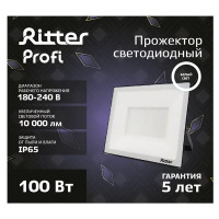 Прожектор светодиодный уличный Ritter Profi 53419 2 100 Вт 10000 Лм 180-240В нейтральный белый свет 4000К IP65 черный