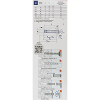 Анкер с болтом Sormat PFG LB 10-55 2 шт.