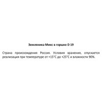 Земляника микс ø19 см