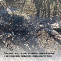 Садовая дорожка резиновая Alegria Top garden 2500х400х5 мм