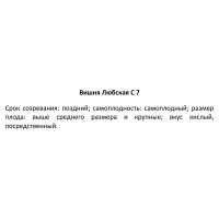 Вишня сортовая Любская ø22 h90 см