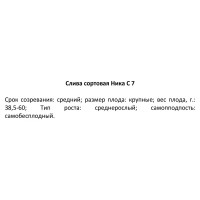 Слива сортовая Ника ø22 h110 см