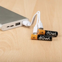 Аккумулятор Duwi Li-Ion LR03 AAA 450 мАч 1.5В 2 шт.