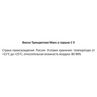 Виола трехцветная микс ø9 h15 см