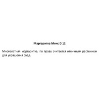 Маргаритка микс ø11 h10 см