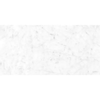 Стеновая панель BIANCO CARRARA АКП 120x60x0.4 см цвет белый