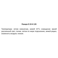 Пахира Акватика ø24 h135 см Росток