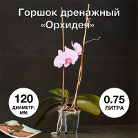 Горшок цветочный Орхидея ø12 h10.5 см v0.75 л пластик прозрачный