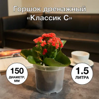 Горшок цветочный Классик С ø15 h11.2 см v1.5 л пластик прозрачный