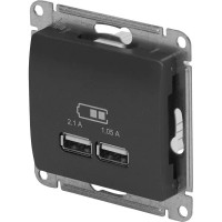 Розетка Schneider Electric Glossa USB встраиваемая цвет графитовый