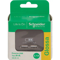 Розетка Schneider Electric Glossa USB встраиваемая цвет графитовый