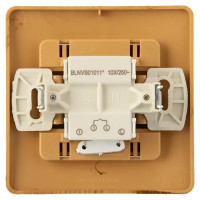 Выключатель встраиваемый Schneider Electric Blanca 1 клавиша с подсветкой 10 А цвет ясень