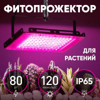 Прожектор светодиодный для растений Эра Fito 80 Вт красно-синий спектр розовый свет
