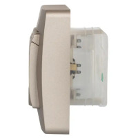 Розетка двойная встраиваемая Schneider Electric Blanca 16 А IP44 цвет титановый