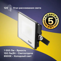 Прожектор светодиодный уличный Ritter Profi 53405 5 10 Вт 1000 Лм 180-240В холодный белый свет 6500К IP65 черный