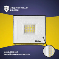 Прожектор светодиодный уличный Ritter Profi 53416 1 30 Вт 3000 Лм 180-240В нейтральный белый свет 4000К IP65 черный
