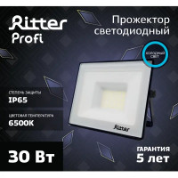 Прожектор светодиодный уличный Ritter Profi 53407 9 30 Вт 3000 Лм 180-240В холодный белый свет 6500К IP65 черный