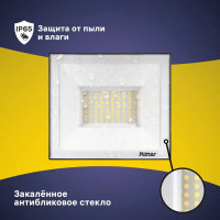 Прожектор светодиодный уличный Ritter Profi 53409 3 70 Вт 7000 Лм 180-240В холодный белый свет 6500К IP65 черный