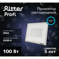 Прожектор светодиодный уличный Ritter Profi 53410 9 100 Вт 10000 Лм 180-240В холодный белый свет 6500К IP65 черный