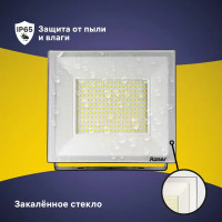 Прожектор светодиодный уличный Ritter Profi 53411 6 150 Вт 15000 Лм 180-240В холодный белый свет 6500К IP65 черный