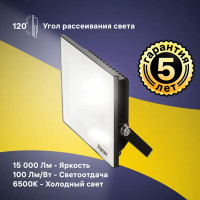 Прожектор светодиодный уличный Ritter Profi 53411 6 150 Вт 15000 Лм 180-240В холодный белый свет 6500К IP65 черный