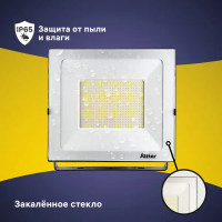 Прожектор светодиодный уличный Ritter Profi 53413 0 300 Вт 30000 Лм 180-240В холодный белый свет 6500К IP65 черный