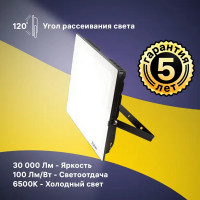 Прожектор светодиодный уличный Ritter Profi 53413 0 300 Вт 30000 Лм 180-240В холодный белый свет 6500К IP65 черный